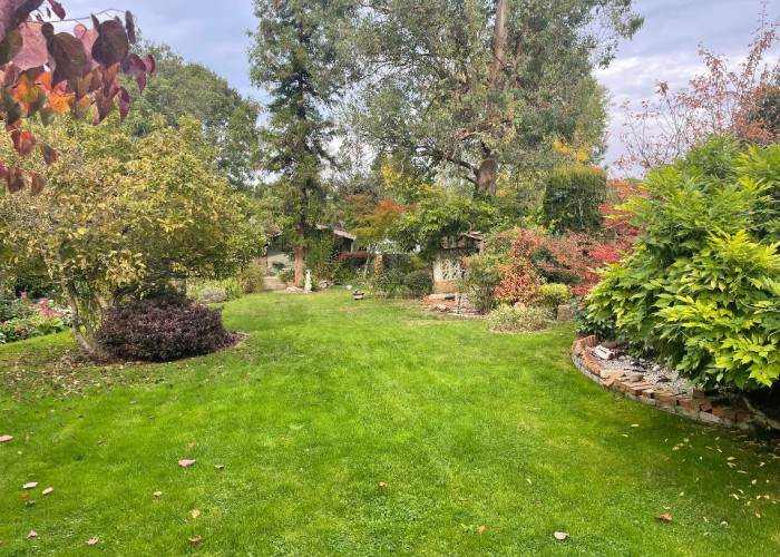 13. Garden (Rear, Large)