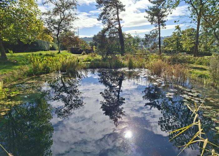 45. Lake / Pond