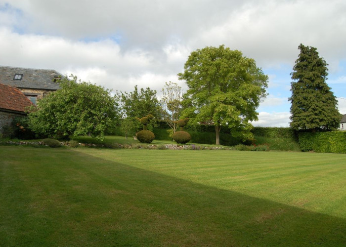 41. Garden (Rear, Large)