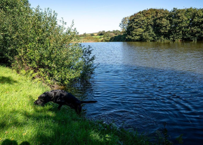 69. Lake / Pond