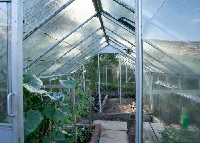 62. Summerhouse, Greenhouse