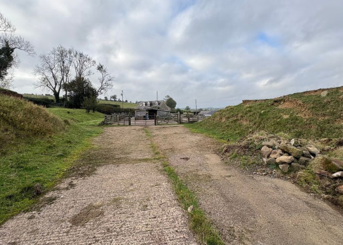 21. Driveway, Garden (Rear, Large)