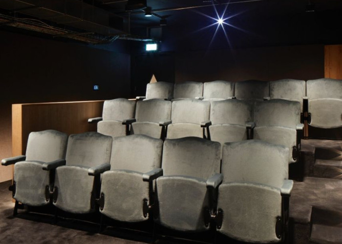 36. Cinema (Home)