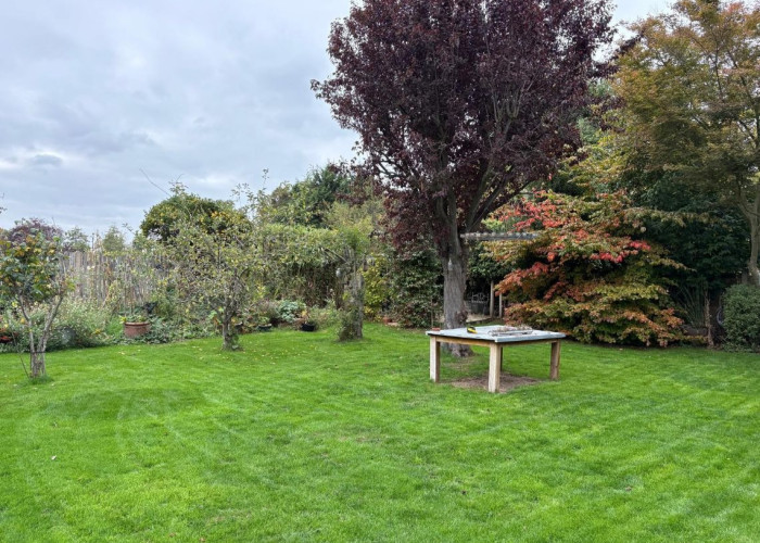 33. Garden (Rear, Large)