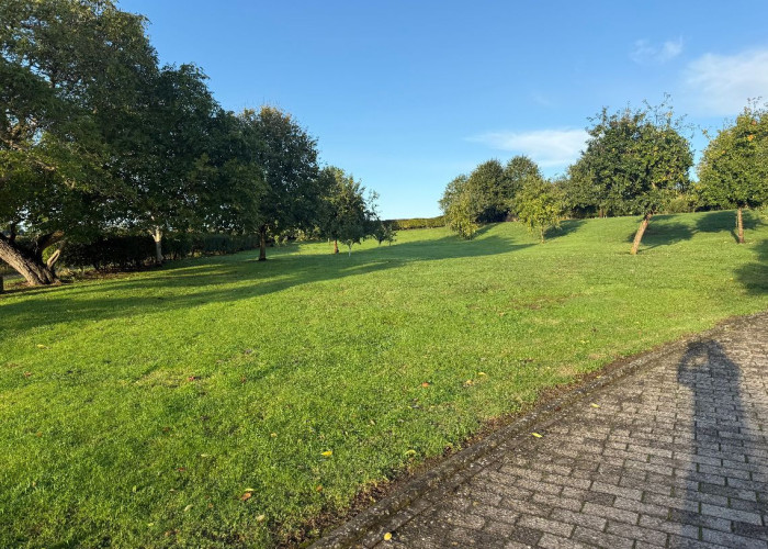 22. Garden (Rear, Large)