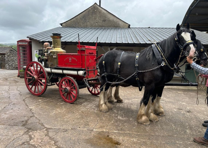 Horse Drawn Trailers And Equipment For Filming