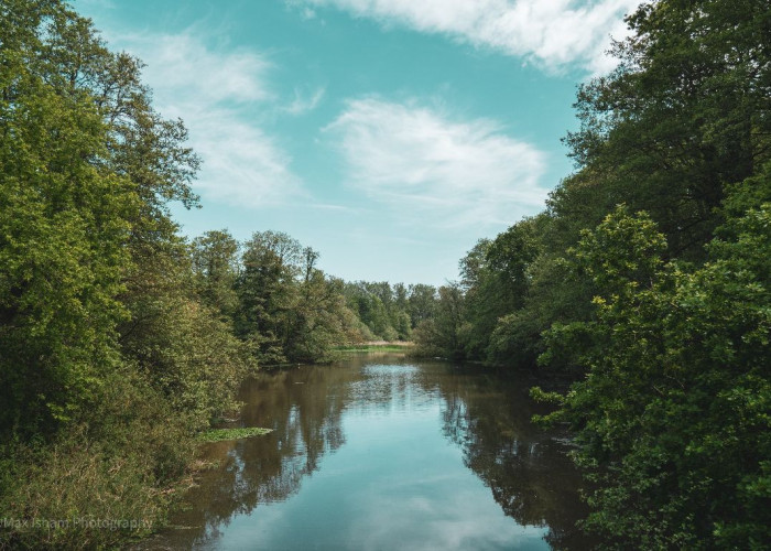 13. Lake / Pond