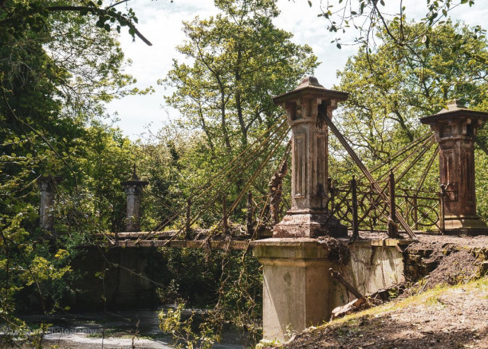 11. Woodland