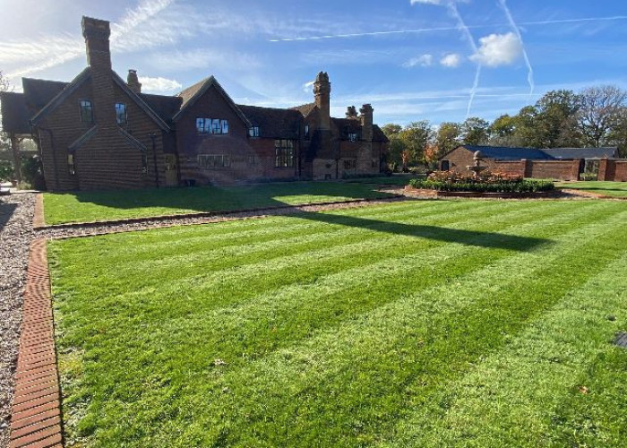 29. Garden (Rear, Large)