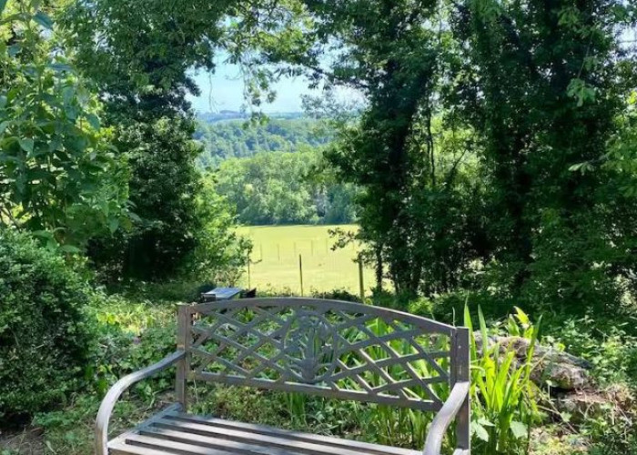 13. Garden (Rear, Large)