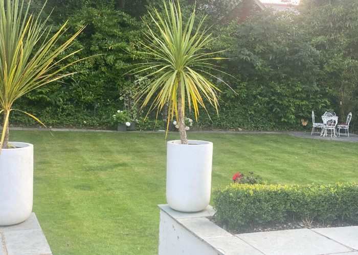 44. Garden (Rear, Large)