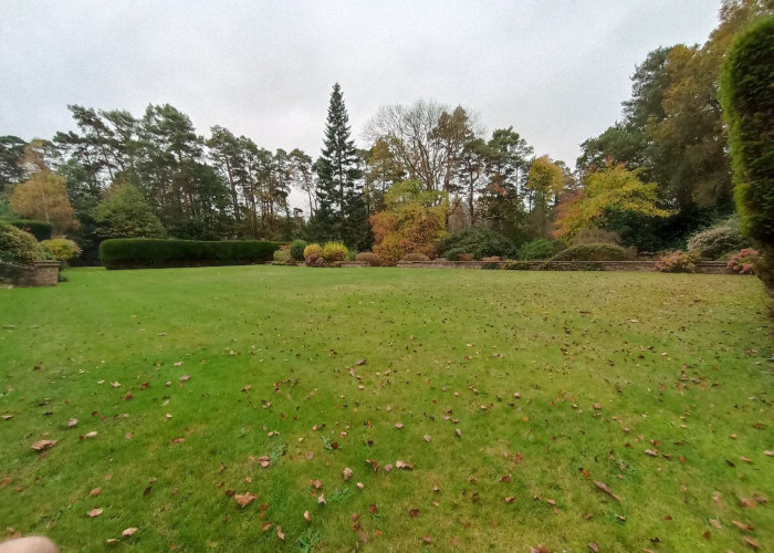 16. Garden (Rear, Large)