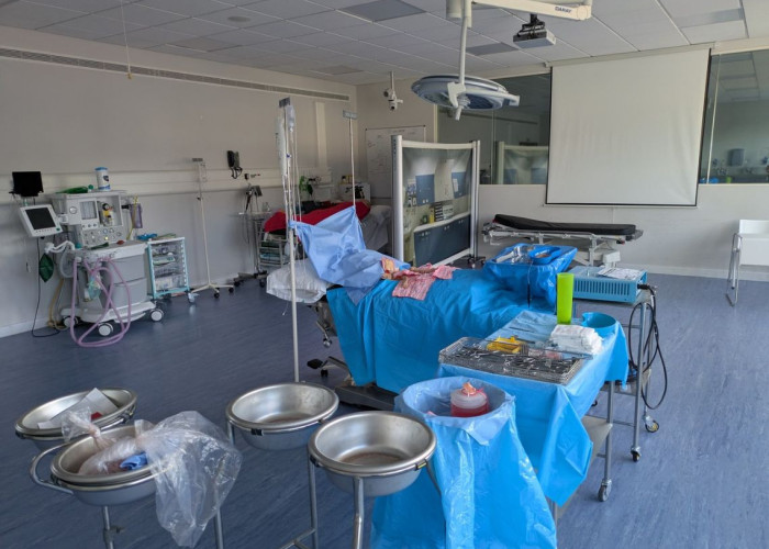 8. Hospital / Surgery