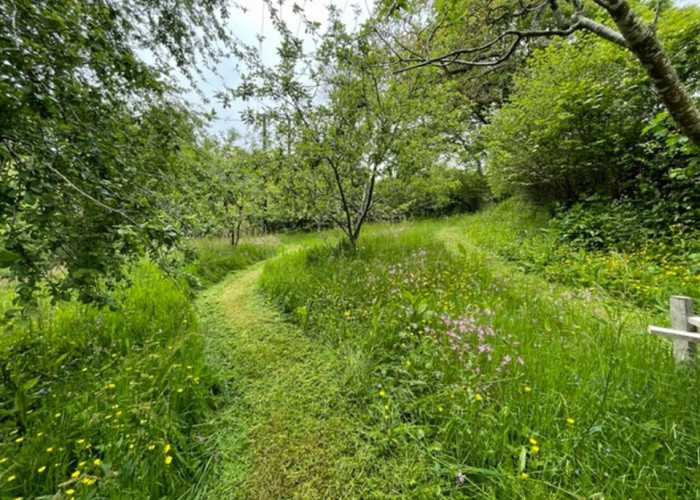 35. Garden (Rear, Large)