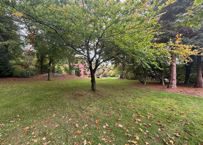 43. Lawn, Garden (Rear, Large)