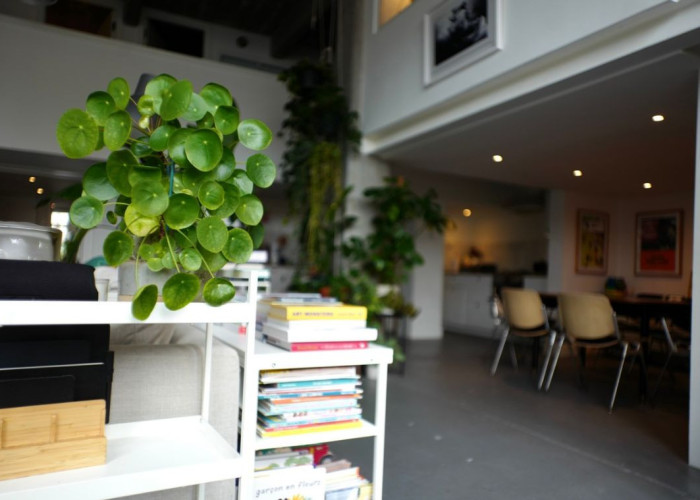 12. Diningroom, Open-plan