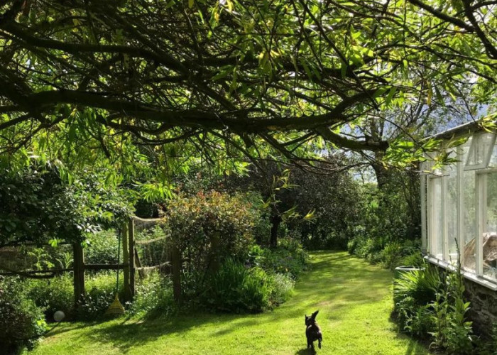 30. Greenhouse, Lawn