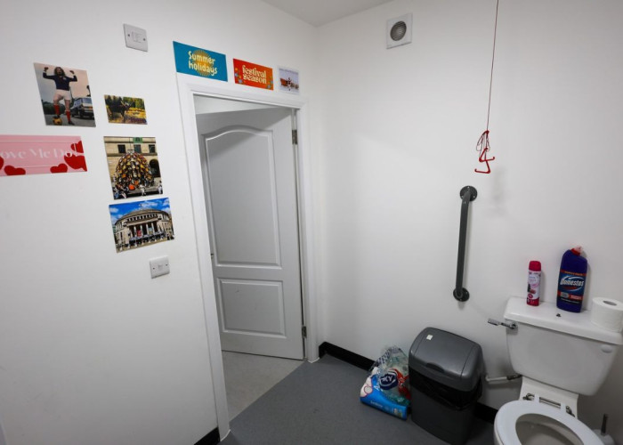 7. Toilet, Disability Features