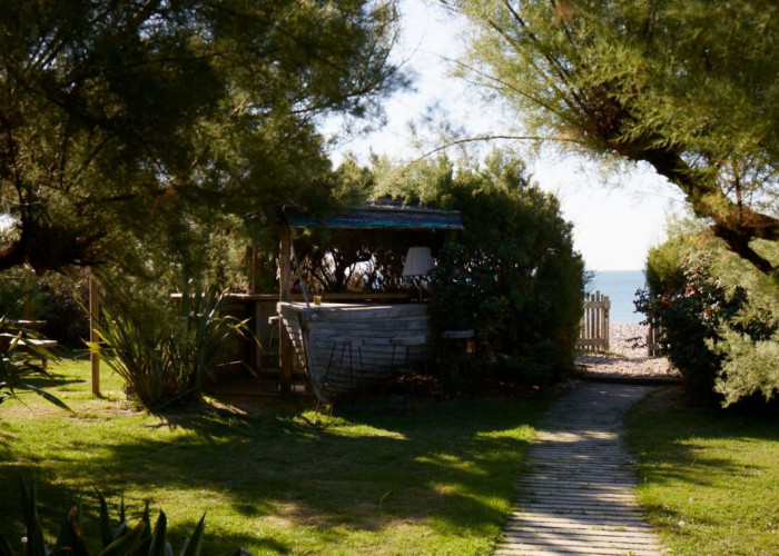 15. Sea / Beach View, Props / Feature, Lawn, Bar (Home)