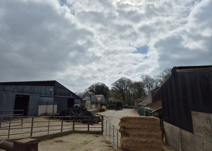 33. Farm, Tractor / Farm Machinery