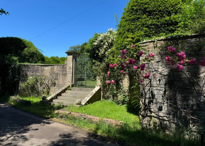 33. Garden (Rear, Large)