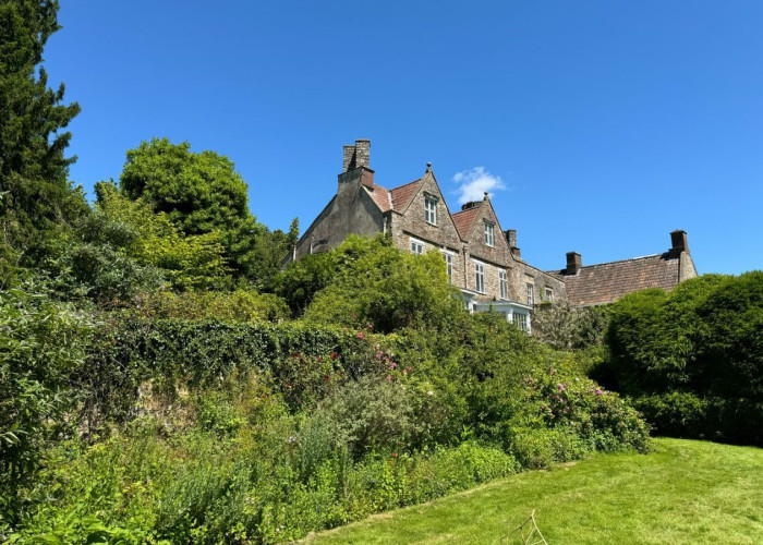 55. Garden (Rear, Large)