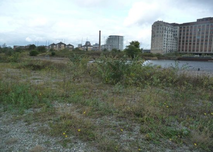 46. Wasteland / Scrapyard