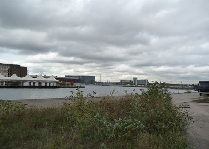 47. Wasteland / Scrapyard