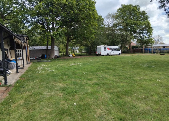 23. Lawn