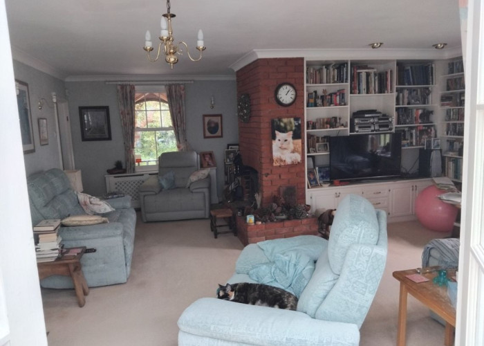 5. Livingroom, Brick Wall