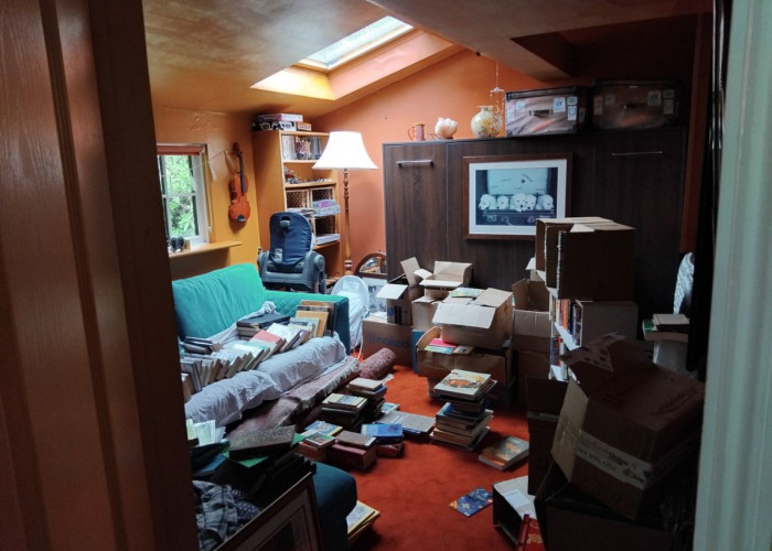 21. Empty / Spare Room, Skylight
