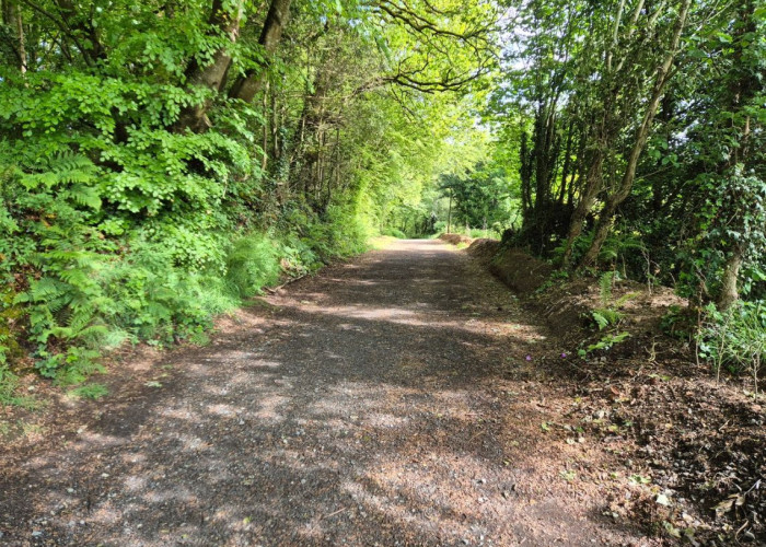 1. Woodland, Road
