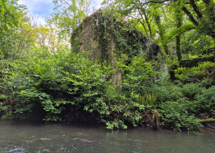 2. Ruins, Woodland, River