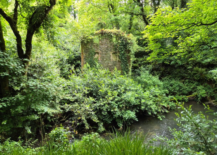 4. Woodland