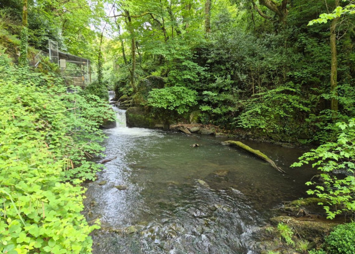 5. River