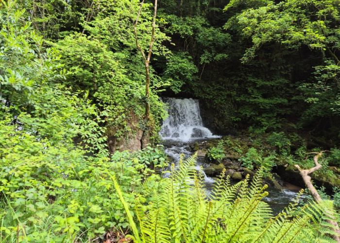 6. Water Feature, River