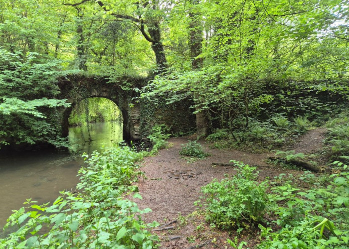 16. Bridge, River
