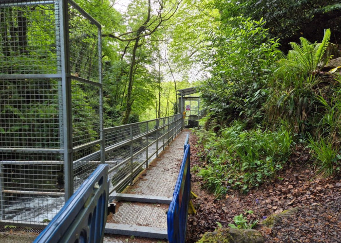 25. Industrial, Footpath