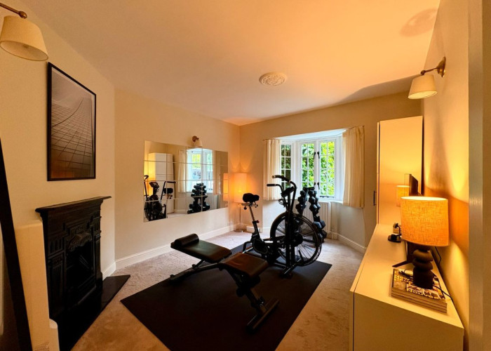 8. Fireplace, Gym (Home)