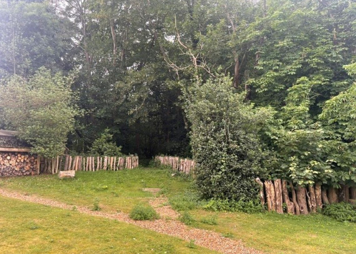 Ancient Woodland with Saxon Burial Ground for Filming