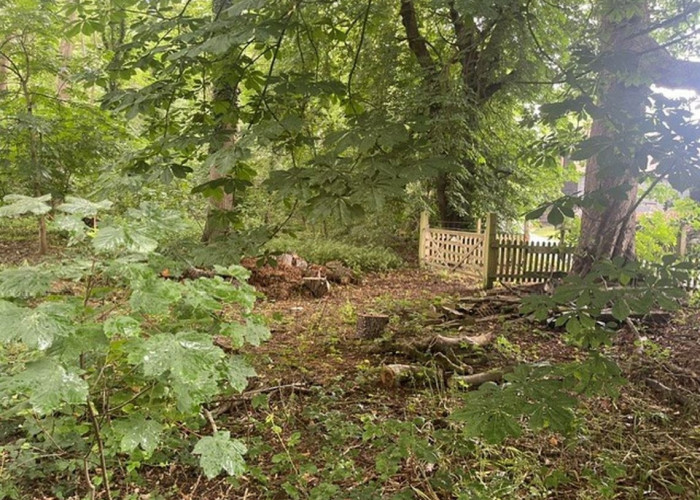 2. Woodland