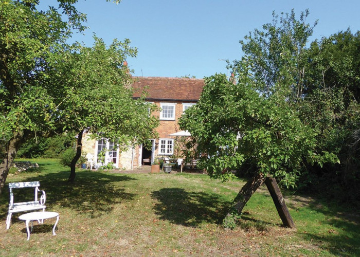 21. Lawn, Garden (Rear, Large)