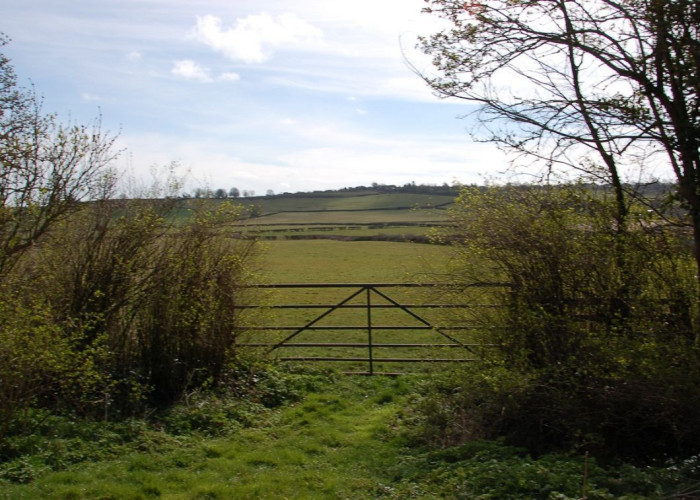 23. Countryside View, Field (Farmland)