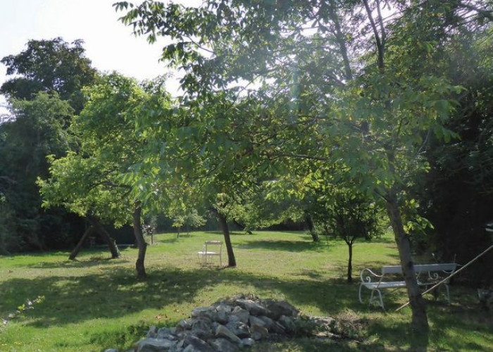 24. Garden (Rear, Large)