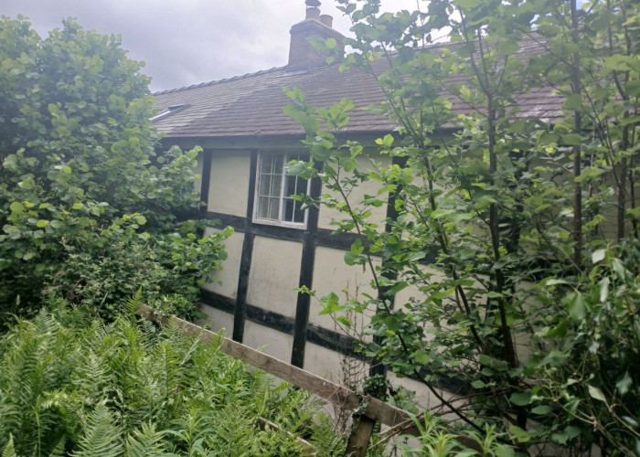 3. House / Cottage