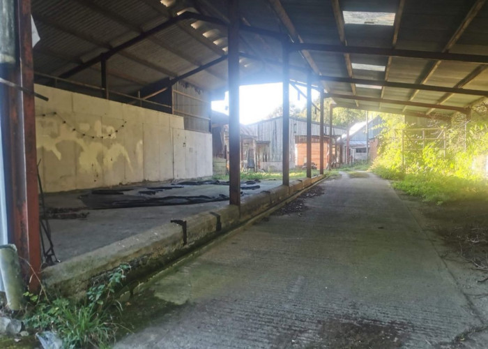 29. Barn, Farm