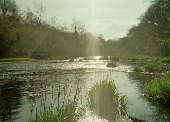 30. River