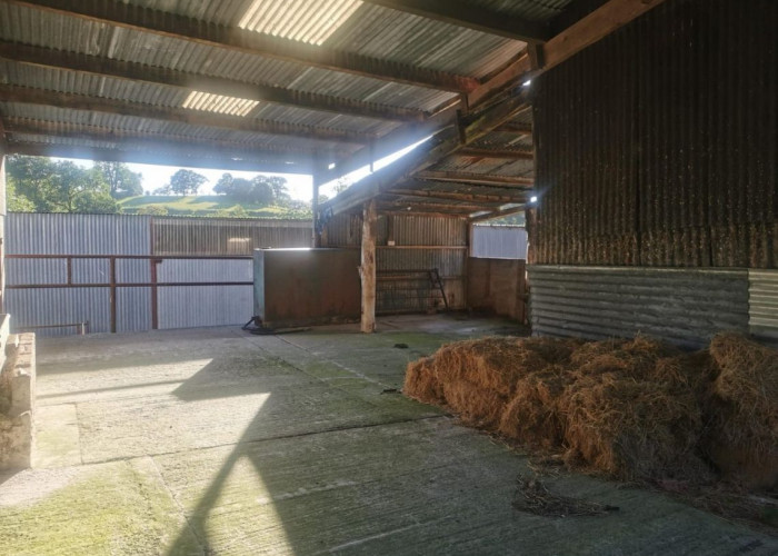 41. Barn, Farm