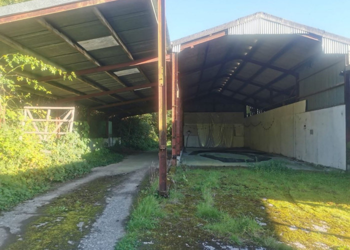 45. Barn