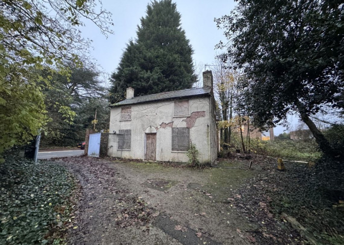 1. Derelict, House / Cottage Exterior
